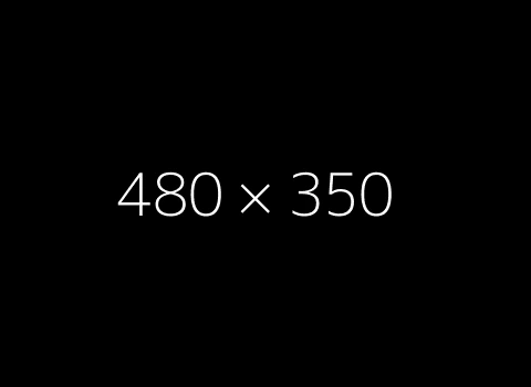 Lorem ipsum dolor sit amet, consectetur adipiscing elit. Aenean quis felis erat. Vivamus vel sem justo. Ut laoreet lectus sit amet turpis ullamcorper commodo. - Roll Door Company